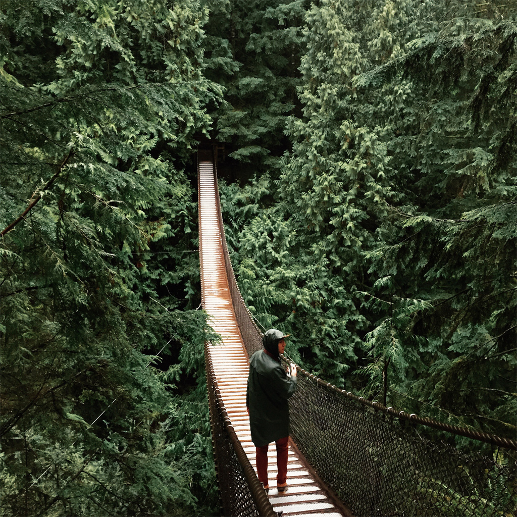 iPhone 6 ile çekilmiş en etkileyici fotoğraflar