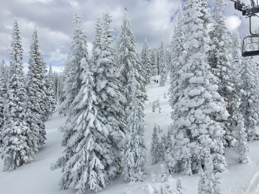 iPhone 6 ile çekilmiş en etkileyici fotoğraflar