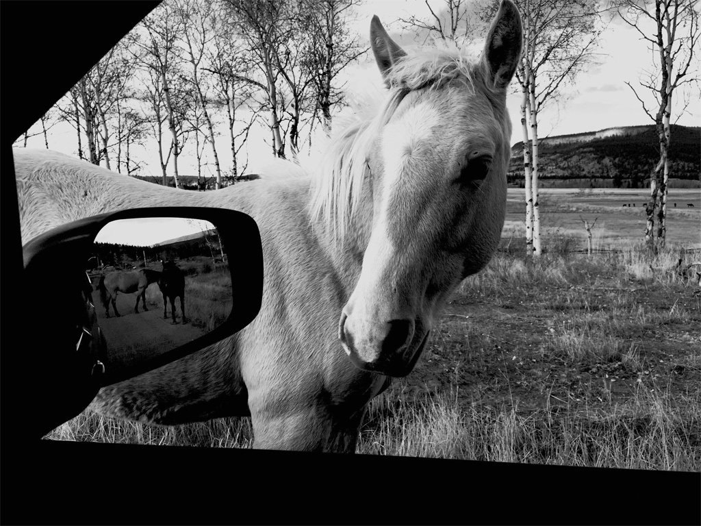 iPhone 6 ile çekilmiş en etkileyici fotoğraflar