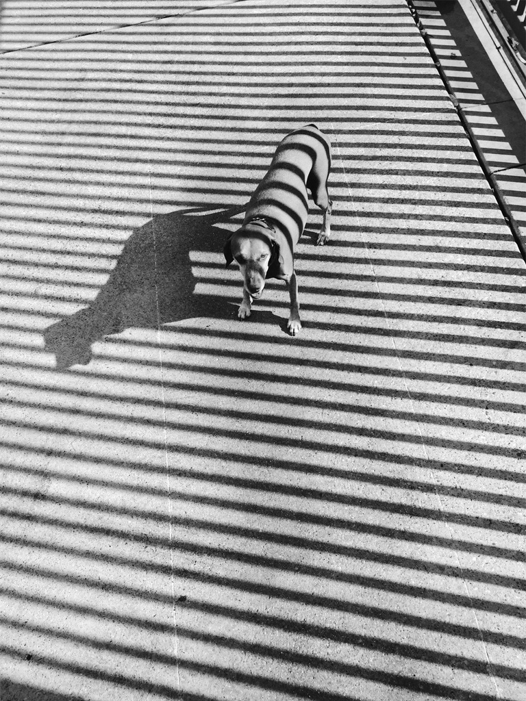 iPhone 6 ile çekilmiş en etkileyici fotoğraflar