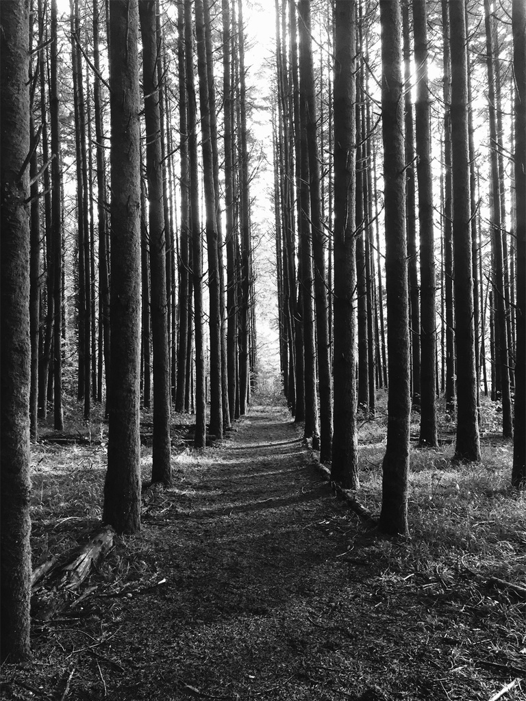 iPhone 6 ile çekilmiş en etkileyici fotoğraflar