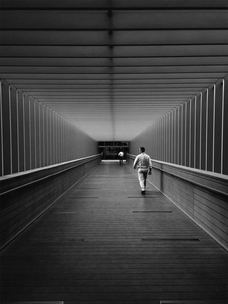 iPhone 6 ile çekilmiş en etkileyici fotoğraflar