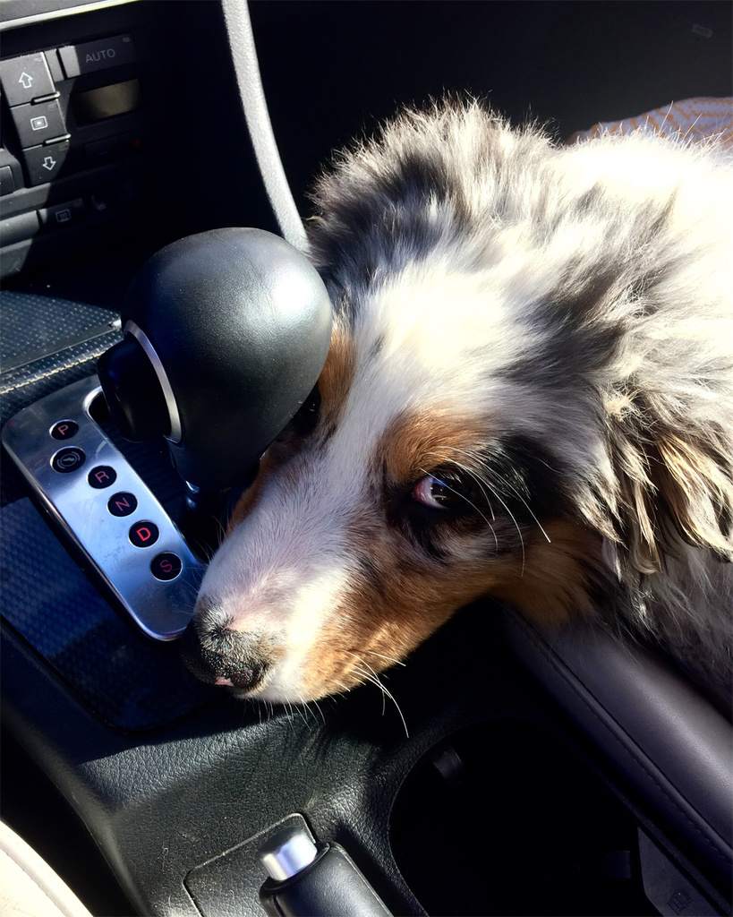 iPhone 6 ile çekilmiş en etkileyici fotoğraflar