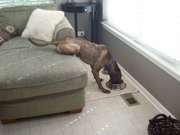 Tembelliği hayat felsefesi yapanlar