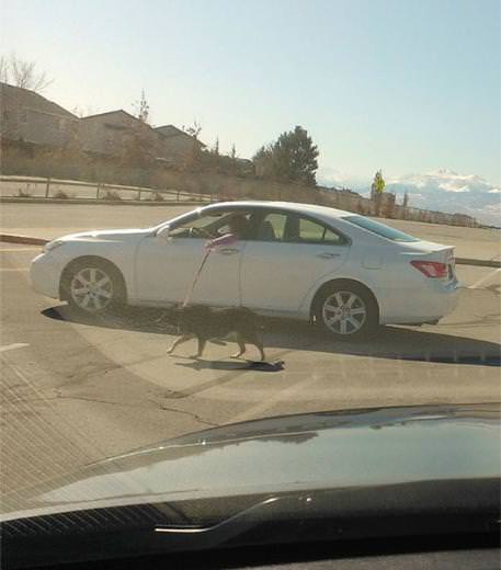 Tembelliği hayat felsefesi yapanlar