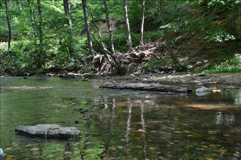 İstanbul'a yakın 15 tatil yeri