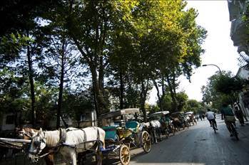 İstanbul'a yakın 15 tatil yeri