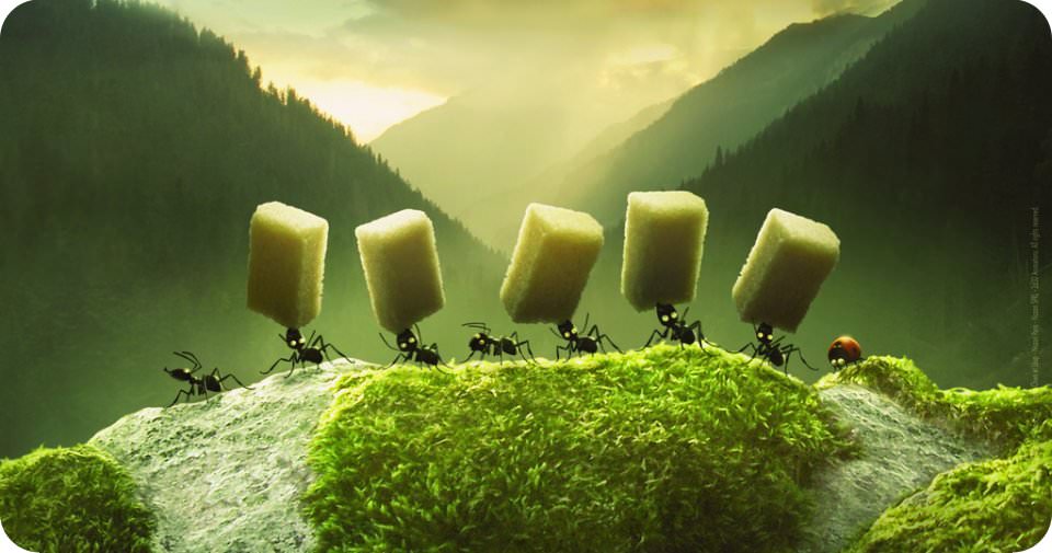 Dünden bugüne en iyi animasyon filmleri