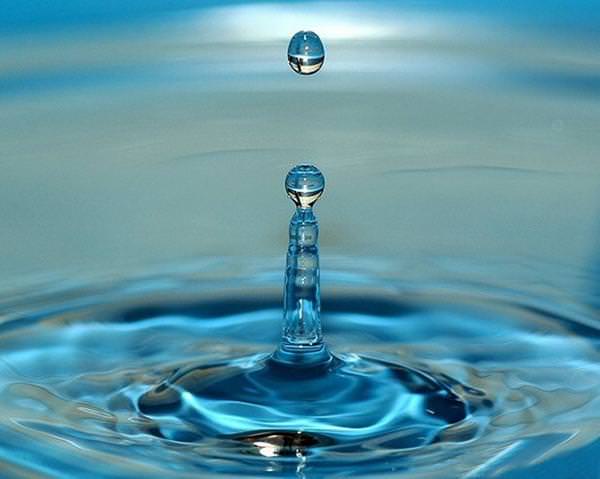 Hafızayı güçlendiren besinler