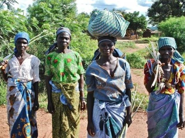 Ülke ülke kadınların ortalama boyları!