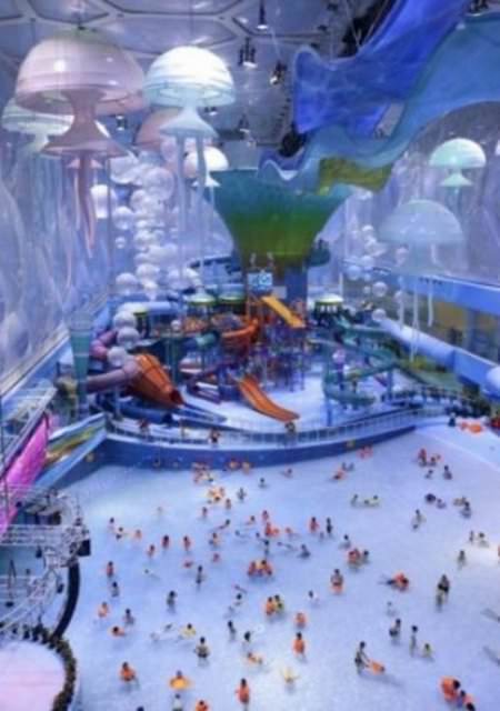 İnternetin fenomen kareleri