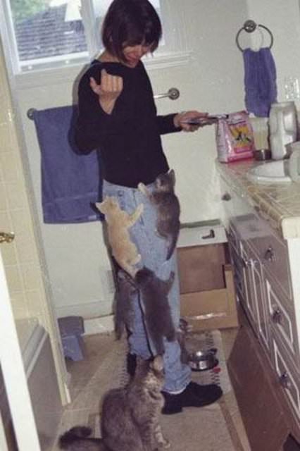 İnternetin fenomen kareleri