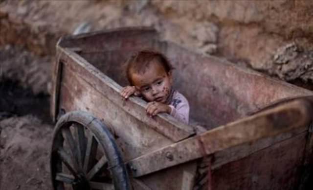 İnternetin fenomen kareleri