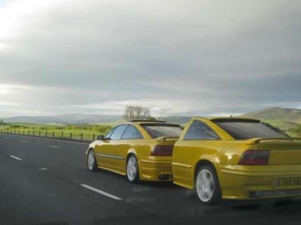 Bir bakan bir daha bakıyor!