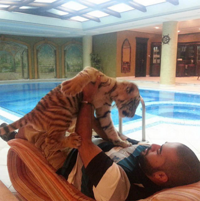 Zengin Arapların gösterişi