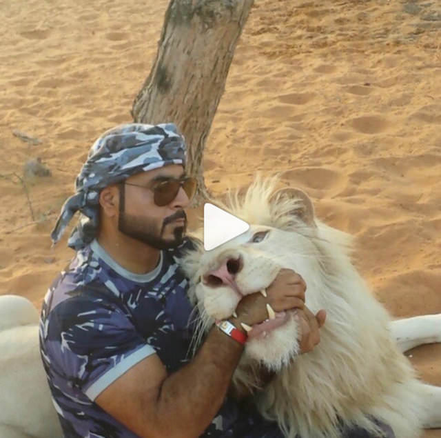 Zengin Arapların gösterişi