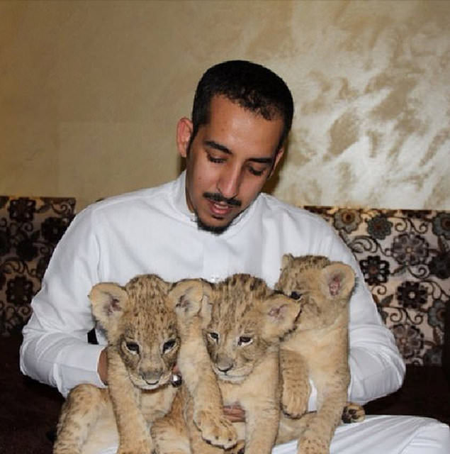 Zengin Arapların gösterişi