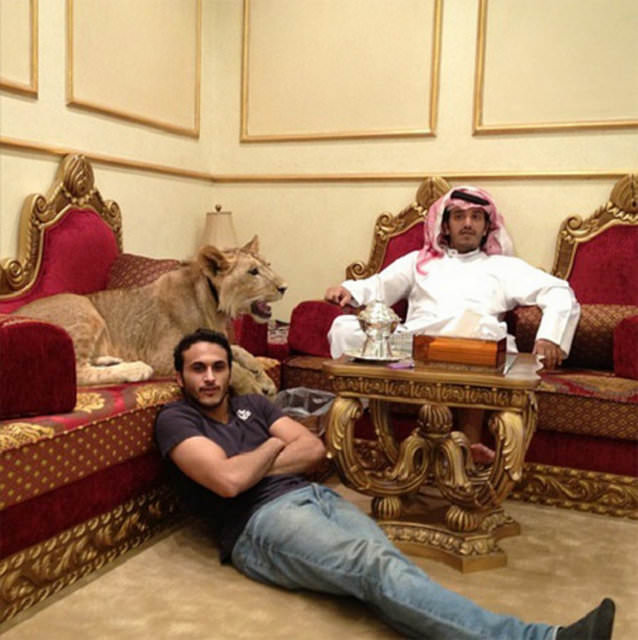 Zengin Arapların gösterişi