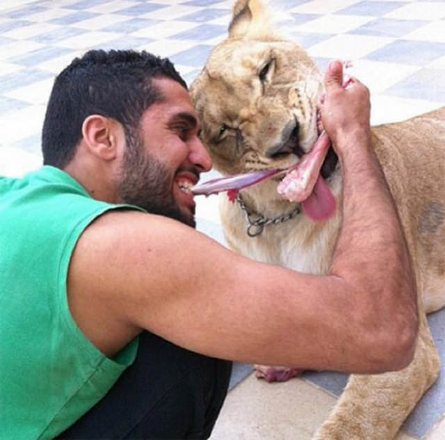 Zengin Arapların gösterişi