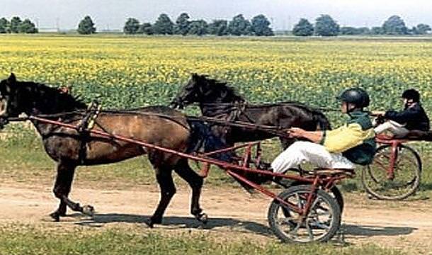 Birbirinden farklı modellerde tasarlanmış bisikletler