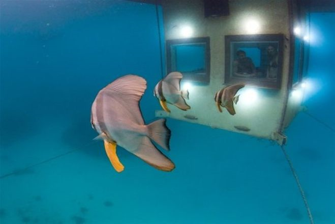 Denizin ortasına bunu yaptılar