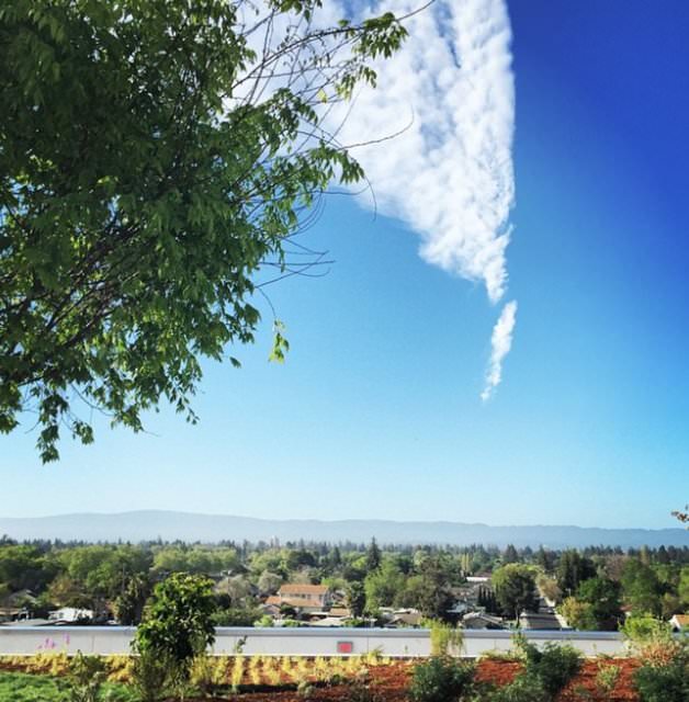 İşte Facebook’un çılgın ofisi!