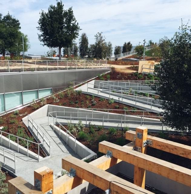 İşte Facebook’un çılgın ofisi!