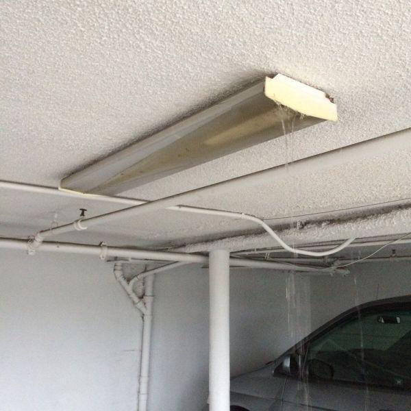 Onlar şanssız günlerindeydi