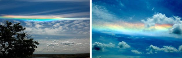 Doğanın mucize görüntüleri