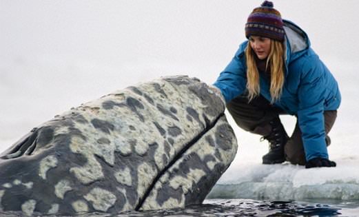 Hayvanların şaşırtan becerileri