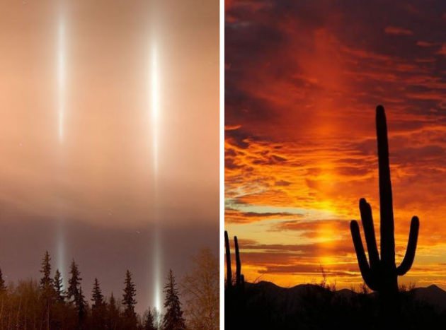 Doğanın mucize görüntüleri