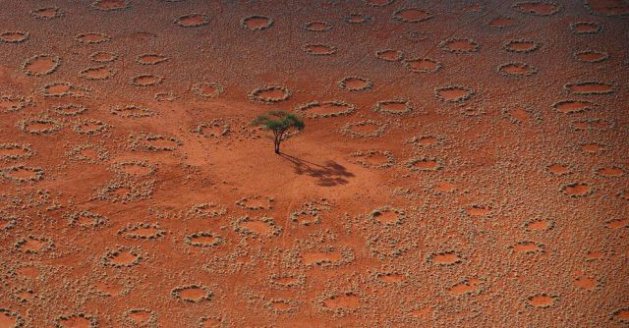 Doğanın mucize görüntüleri