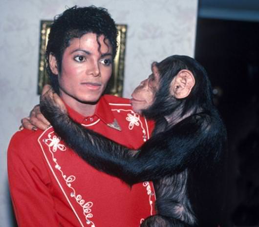 Dünyanın en zengin hayvanları