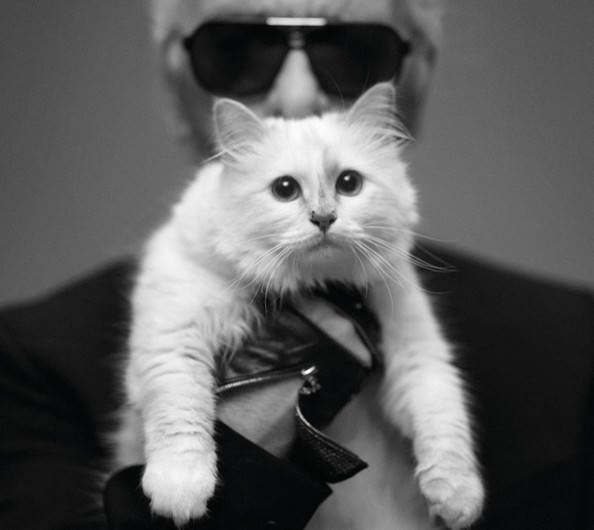 Dünyanın en zengin hayvanları