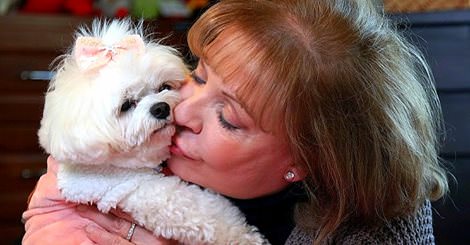 Dünyanın en zengin hayvanları