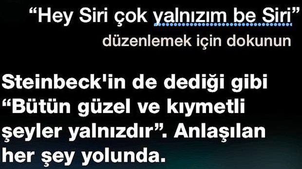 iPhone asistanı Siri'nin Türkçe sürümü sonrası capsleri