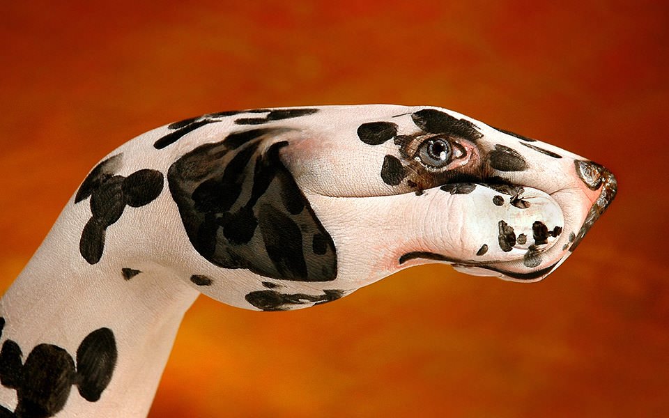 Elleriyle mucize yarattı