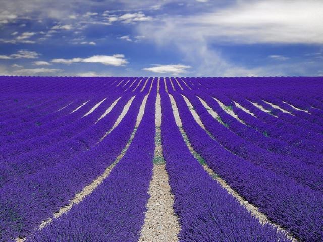 Dünyanın en renkli 10 yeri