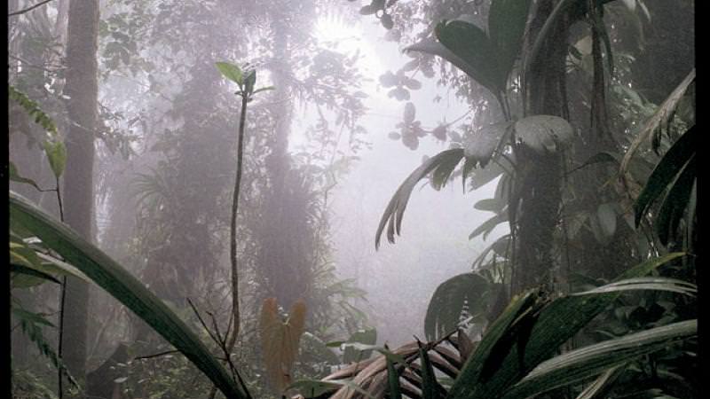 Geçilmesi imkansız bölge