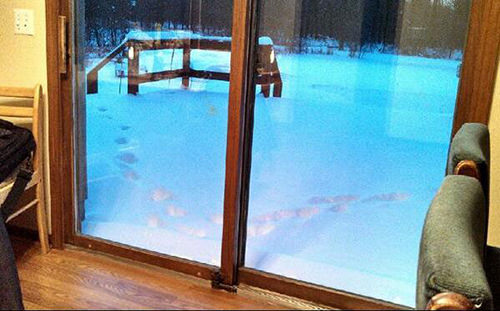 Gerçekten yaşanan 16 olay