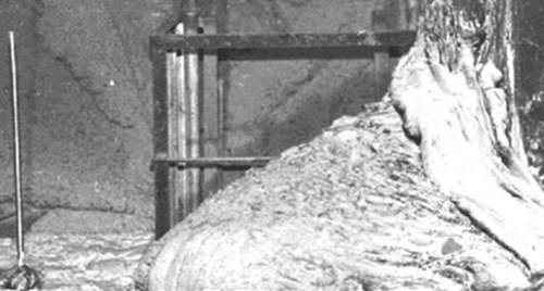 Gerçekten yaşanan 16 olay