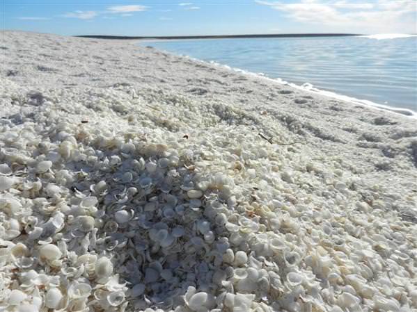 Dünyanın en sıradışı plajları