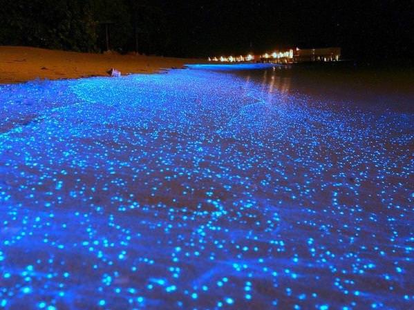 Dünyanın en sıradışı plajları