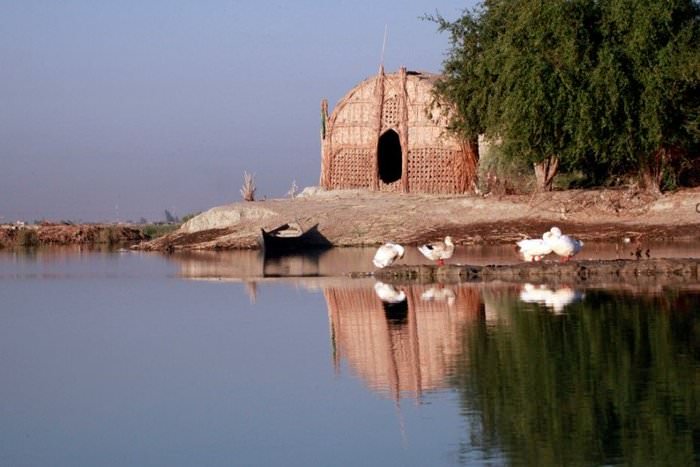 Eşsiz Bir Kültüre Sahip 'Bataklık Arapları'