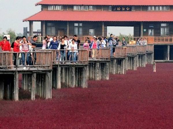 Dünyanın en sıradışı plajları