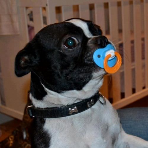 En ilginç fotoğraflar