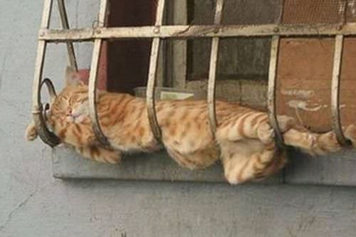 En ilginç fotoğraflar