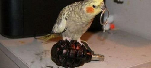 En ilginç fotoğraflar