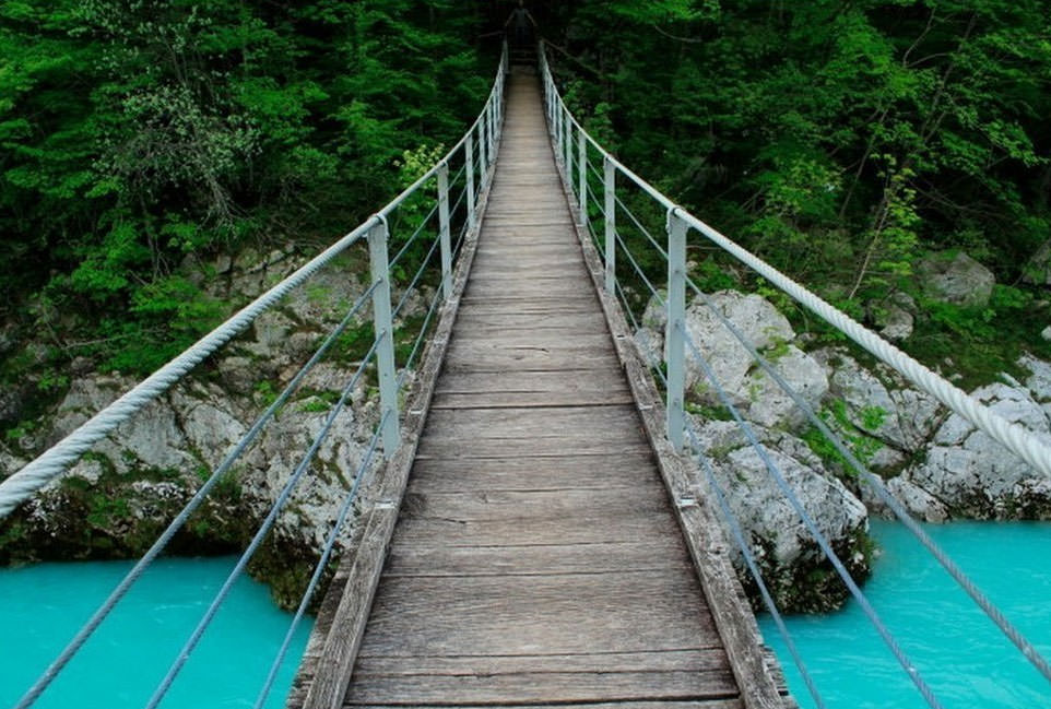 Bu fotoğraflara bakıp fobilerinizi öğrenin