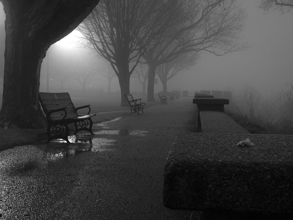 Bu fotoğraflara bakıp fobilerinizi öğrenin